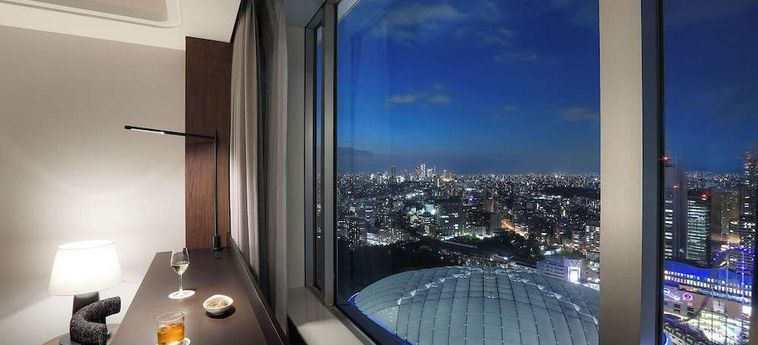 Tokyo Dome Hotel:  TOKYO