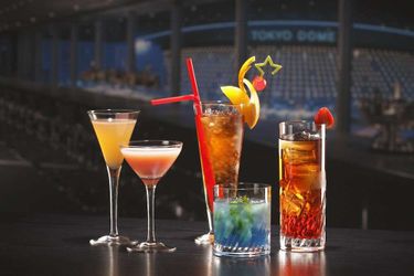 Tokyo Dome Hotel:  TOKYO