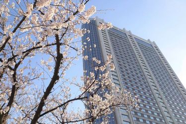Tokyo Dome Hotel:  TOKYO