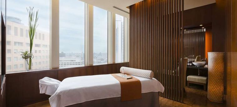 Hotel Hyatt Regency Tokyo Tokyo: Foto 