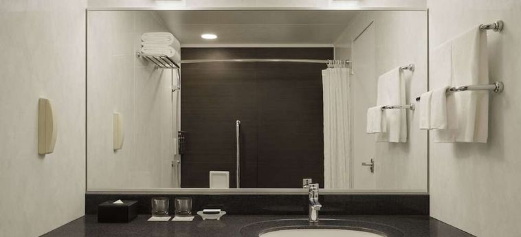 Sheraton Miyako Hotel Tokyo Tokyo : Photo 