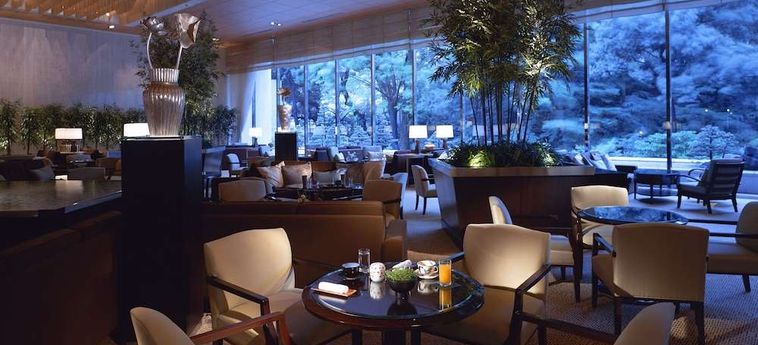 Sheraton Miyako Hotel Tokyo Tokyo: Foto 