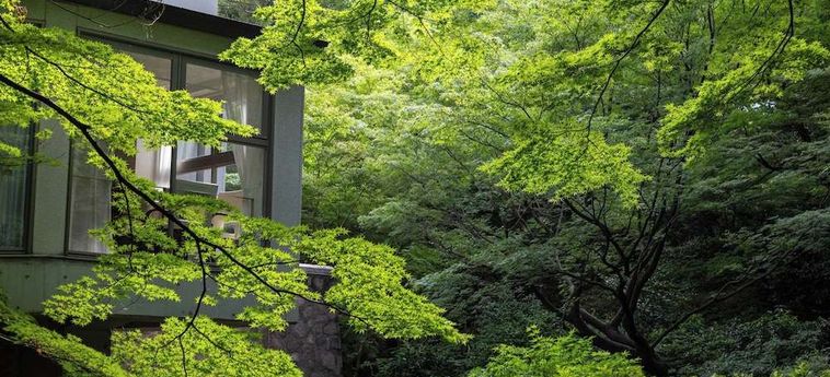 Sheraton Miyako Hotel Tokyo Tokyo: Foto 