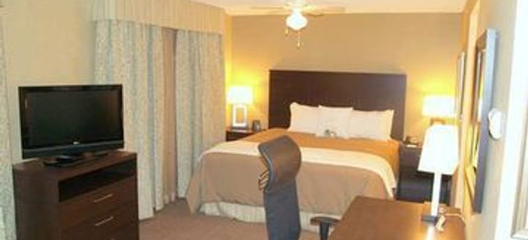 Hotel Homewood Suites By Hilton Torontomarkham Toronto-Pearson Aeroporto Internazionale : Photo 