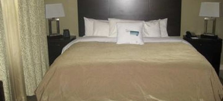 Hotel Homewood Suites By Hilton Torontomarkham Toronto-Pearson Aeroporto Internazionale : Photo 