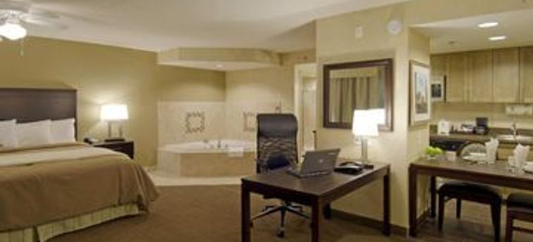 Hotel Homewood Suites By Hilton Torontomarkham Toronto-Pearson Aeroporto Internazionale : Photo 