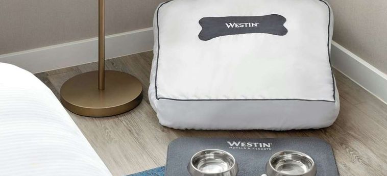 Hotel The Westin Harbour Castle, Toronto Toronto: Foto 