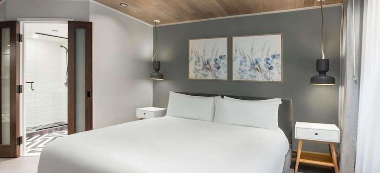 Hotel Novotel Toronto Centre Toronto : Photo 
