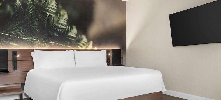 Hotel Novotel Toronto Centre Toronto : Photo 