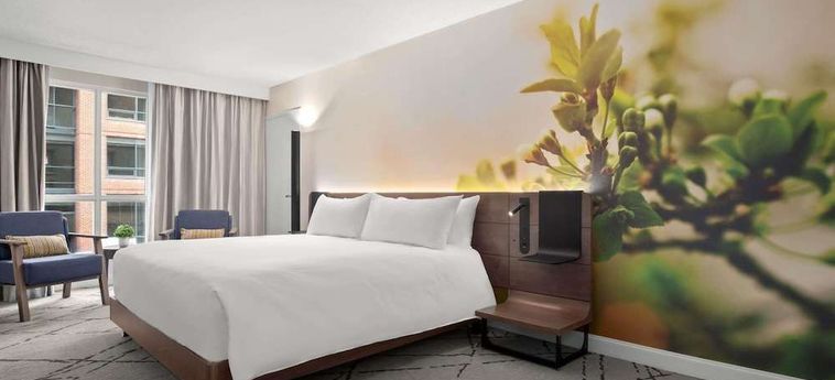 Hotel Novotel Toronto Centre Toronto: Foto 