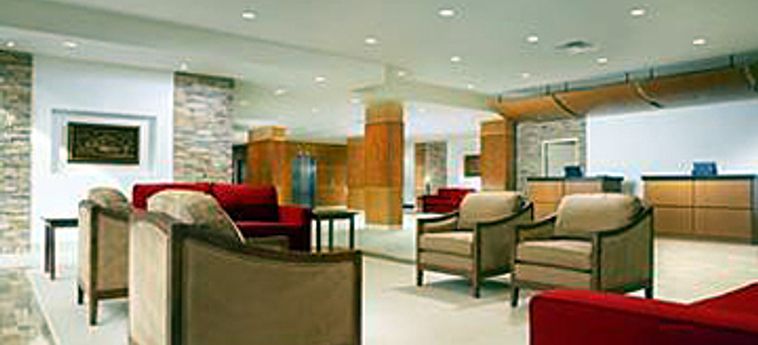 Hotel Four Points By Sheraton Toronto Airport:  TORONTO