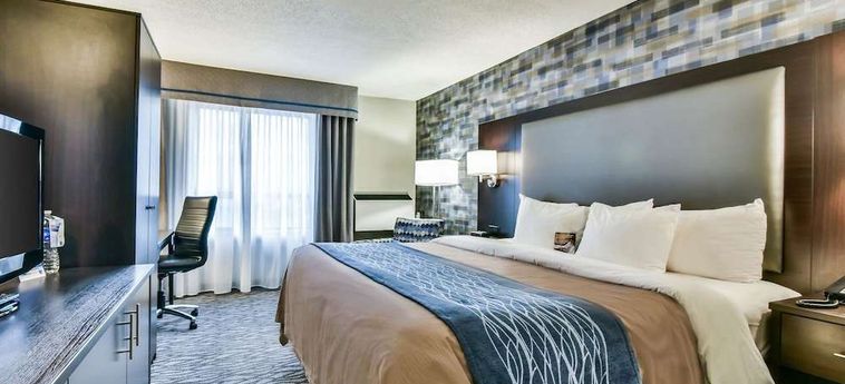 Comfort Hotel Airport North Toronto: Photo 