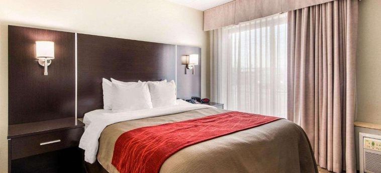 Hotel Comfort Inn Airport West Toronto: Foto 