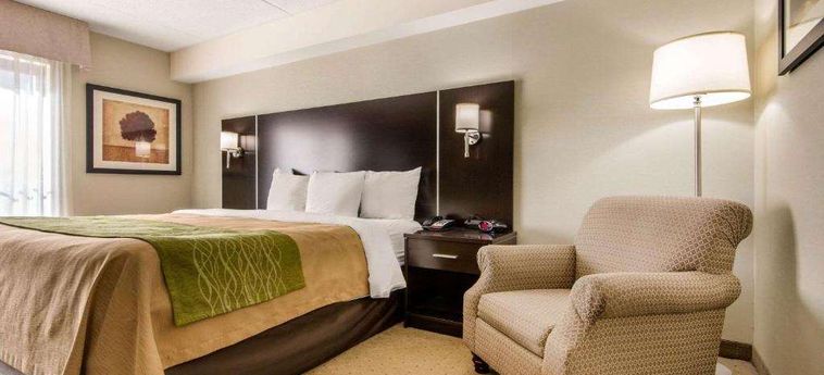 Hotel Comfort Inn Airport West Toronto: Foto 