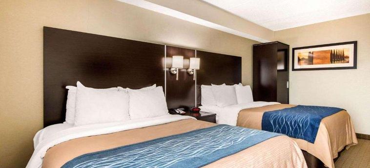 Hotel Comfort Inn Airport West Toronto: Foto 