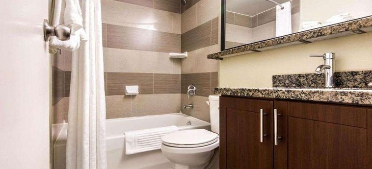 Hotel Comfort Inn Airport West Toronto: Foto 