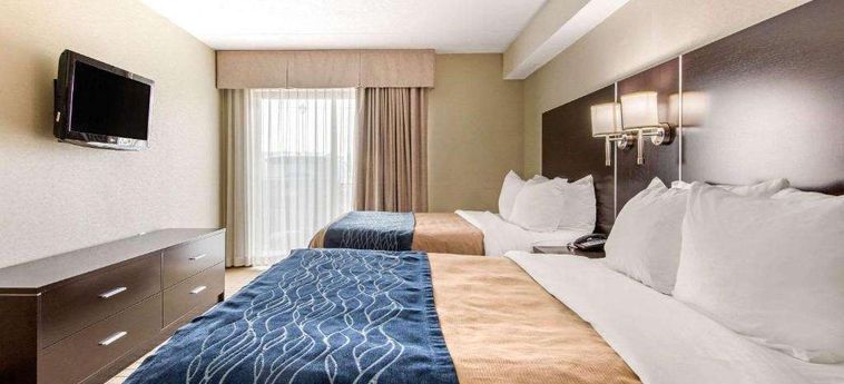 Hotel Comfort Inn Airport West Toronto : Photo 