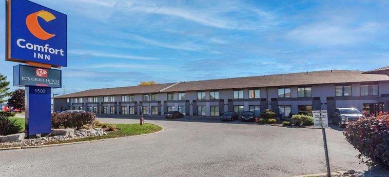 Hotel Comfort Inn Airport West Toronto: Foto 