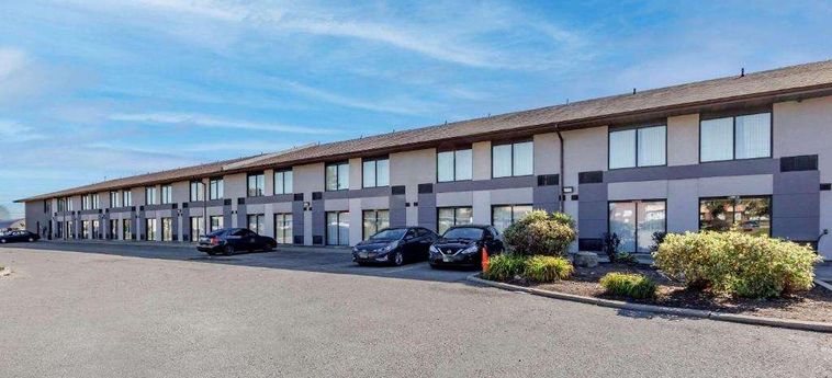 Hotel Comfort Inn Airport West Toronto: Foto 