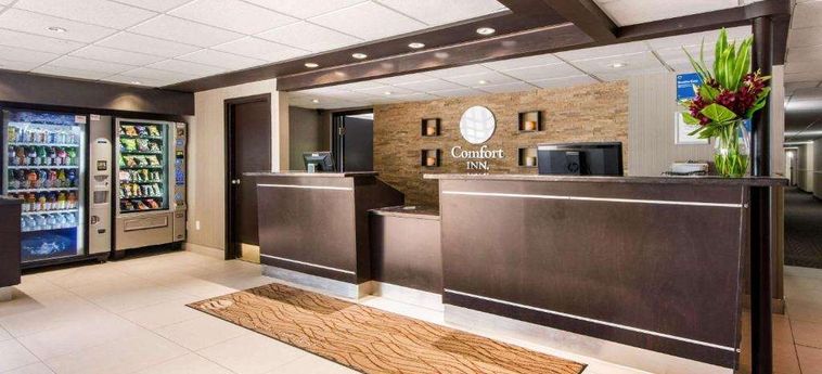 Hotel Comfort Inn Airport West Toronto: Photo 