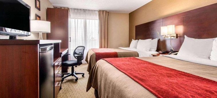 Hotel Comfort Inn Airport West Toronto: Photo 