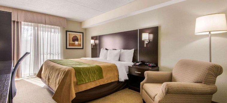 Hotel Comfort Inn Airport West Toronto: Photo 