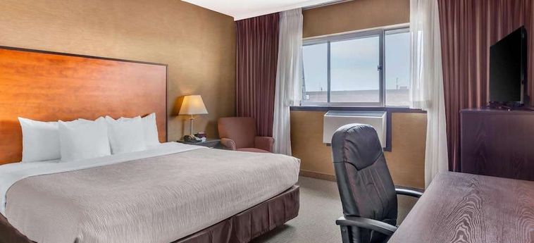 Hotel Quality Inn Toronto Airport:  TORONTO