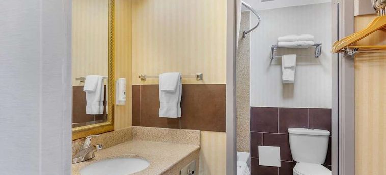 Hotel Quality Inn Toronto Airport:  TORONTO