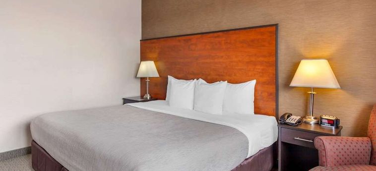 Hotel Quality Inn Toronto Airport:  TORONTO