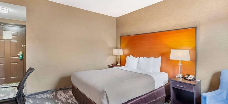 Hotel Quality Inn Toronto Airport:  TORONTO
