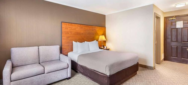 Hotel Quality Inn Toronto Airport:  TORONTO