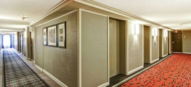 Doubletree By Hilton Hotel Toronto Downtown:  TORONTO
