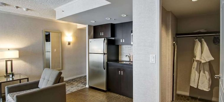 Doubletree By Hilton Hotel Toronto Downtown Toronto: Foto 