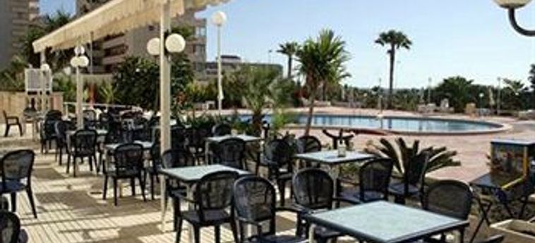 Hotel  Playas De Torrevieja Torrevieja - Alicante: Foto 