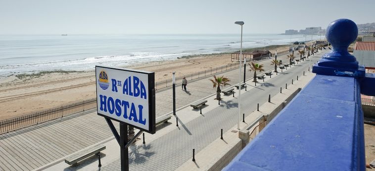 Hotel Hostal Alba Torrevieja - Alicante: Foto 