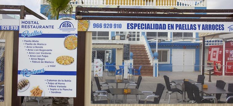 Hotel Hostal Alba Torrevieja - Alicante: Foto 