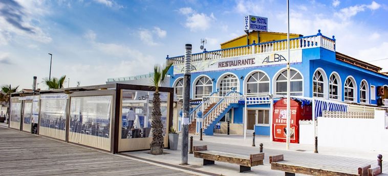 Hotel Hostal Alba Torrevieja - Alicante: Foto 
