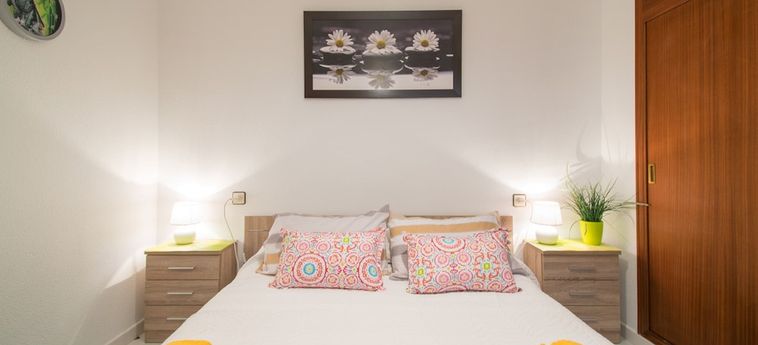 Hotel Torrevieja Rent 007 Torrevieja - Alicante : Photo 