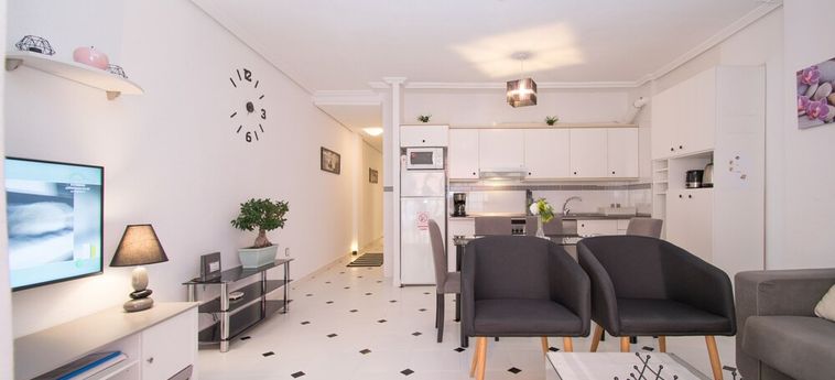 Hotel Torrevieja Rent 007 Torrevieja - Alicante : Photo 