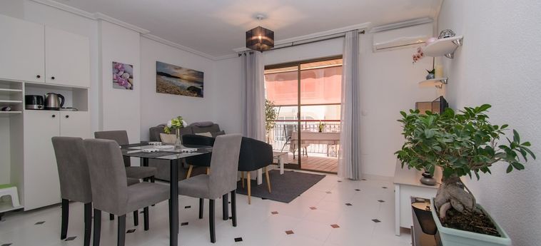 Hotel Torrevieja Rent 007 Torrevieja - Alicante: Foto 