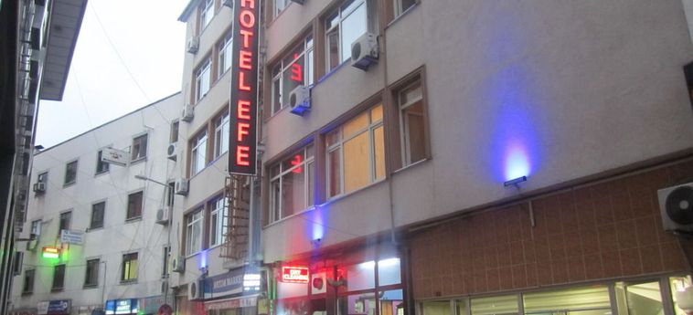 Hotel Efe:  TRABZON