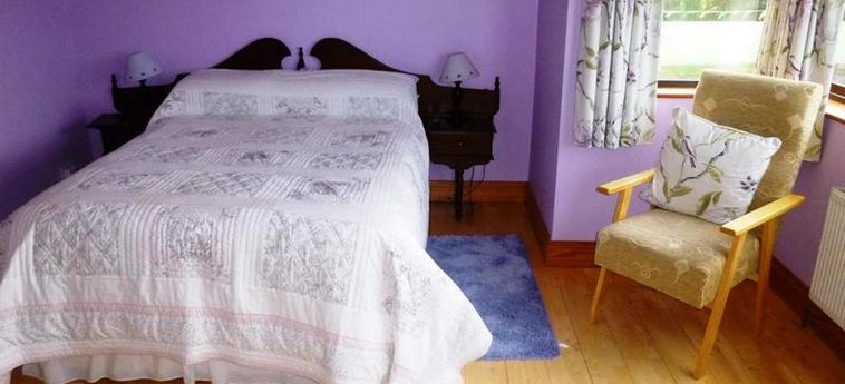Bayview House Tralee: Foto 