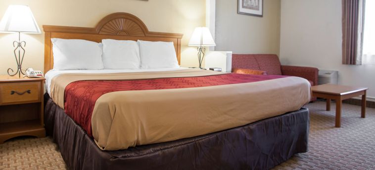Hotel Econo Lodge Inn & Suites:  TRENTON (NJ)