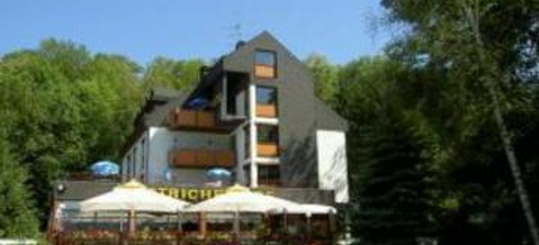 Hotel Restaurant Estricher Hof:  TREVIRI