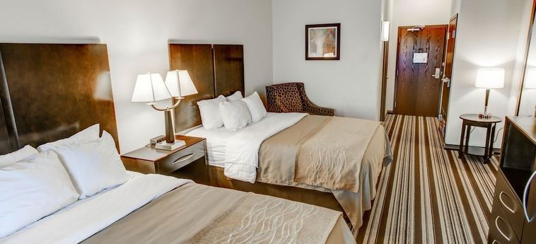 Hotel Comfort Inn & Suites:  TRIADELPHIA (WV)