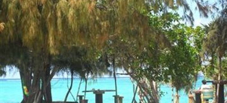 Pelican Beach Hotel:  TURKS AND CAICOS ISLANDS