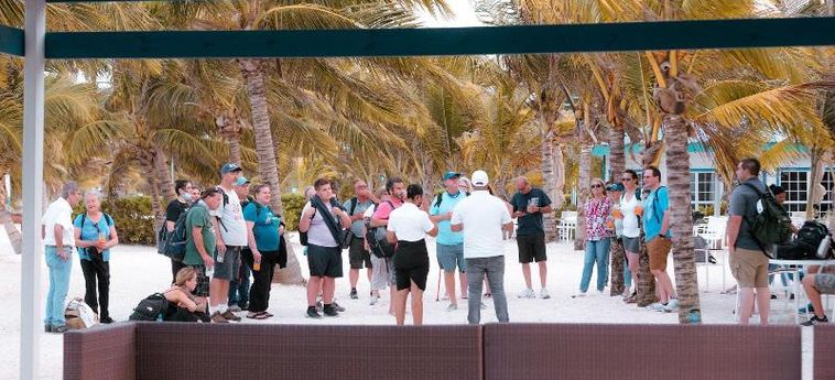 Hotel Belize Dive Haven:  TURNEFFE ISLANDS