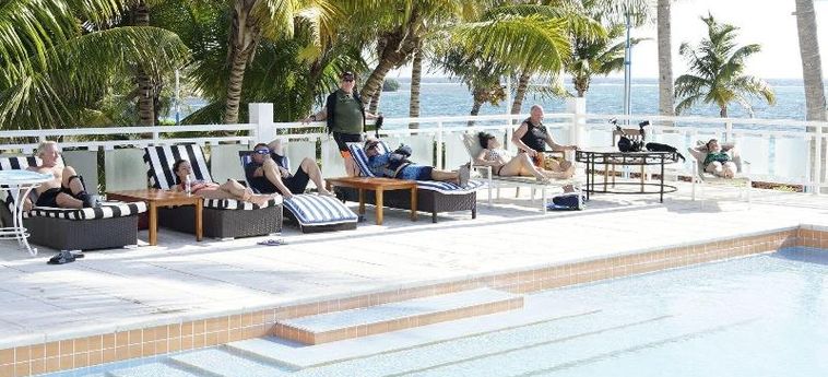 Hotel Belize Dive Haven Turneffe Islands: Foto 