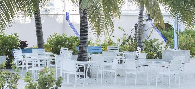 Hotel Belize Dive Haven Turneffe Islands: Foto 