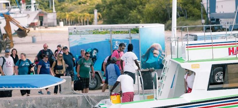 Hotel Belize Dive Haven Turneffe Islands : Photo 
